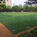 서울등명초등학교 이미지