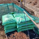 기봉농장 이미지