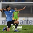 (주)스포팜 이미지