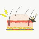 허니듀(Honey Dew) 이미지