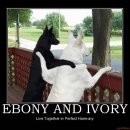 Ebony and Ivory..ㅎ 이미지