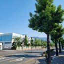 사림동210 이미지