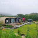 라바하우스 민박 | 인천 갯벌체험 라바하우스 갯벌체험 할 수 있는 태안숙소