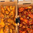 멍멍이 보러올래? | 0.6666667을 지나가며