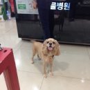 이윤세동물병원 이미지