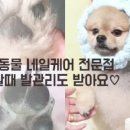 발밤네일