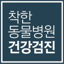 대구착한동물병원 이미지