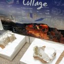 광명5동 주민센터 이미지