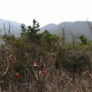 한일초교-1구간 이미지