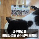 나투어리베 이미지