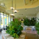 석만목장 | 제주 산방산 카페 엘파소 오션뷰 감성카페