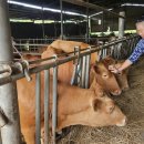 오천축사 이미지