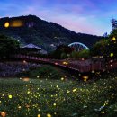 무주읍240 이미지