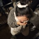 하티미미 이미지