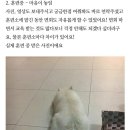 준독트레이닝센터 | [준독트레이닝센터] 보호자님께서 후기를 남겨주셨어요!!