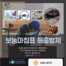 보눔172 이미지