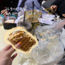 동강오리알 이미지