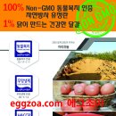 찬늘농장 티스토리