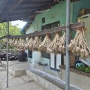 다마내기 이미지