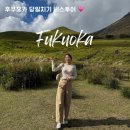 (주)세빈고속관광 | 후쿠오카 버스투어 내돈내산 추천 후기 유후인 히타 다자이후 근교 소도시 당일치기 여행