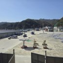 헌화로슈퍼 이미지