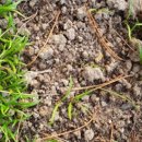 아빠농장 이미지