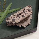 데이지플라워샵 이미지