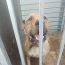 가락4리 이미지