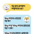 메디덴탈