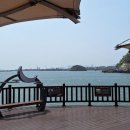 진월면 선소정류장 이미지