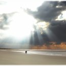 클래식기타 (D) 이미지