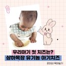 우리아이유기농 | 상하목장 치즈로 시작한 우리 아기의 첫 치즈 유기농 아이치즈 1단계 후기