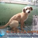 독산로2길 이미지