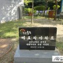 미도파약국 이미지