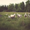 지은이농장 이미지