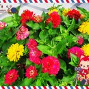 신바람 노래 교실 이미지