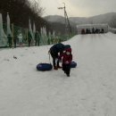 승민애견 네이버블로그