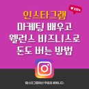 인스타그램 마케팅 배우고 웰런스 비즈니스로 돈도 버는 방법