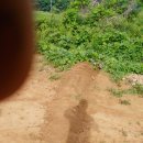 김현숙농장 이미지