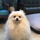 온블리살롱 이미지