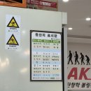 양동차이나