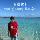 [바하마 신혼여행] 프라이빗 돼지섬 투어 후기 (Powerboat Adventures)