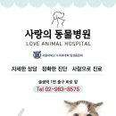 솔샘 동물병원 이미지
