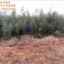 대봉1리마을회관 이미지