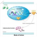 불로초등학교 이미지