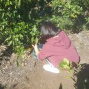 준우농장 이미지