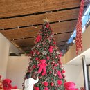 뱅 인형카페 | 목포 크리스마스트리 대형카페 석산 후기 오션뷰 포토존부터 주차 정보까지 총정리