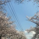 송해보건지소 이미지