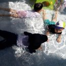 어푸어푸 이미지