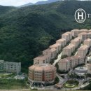 분당-390 이미지